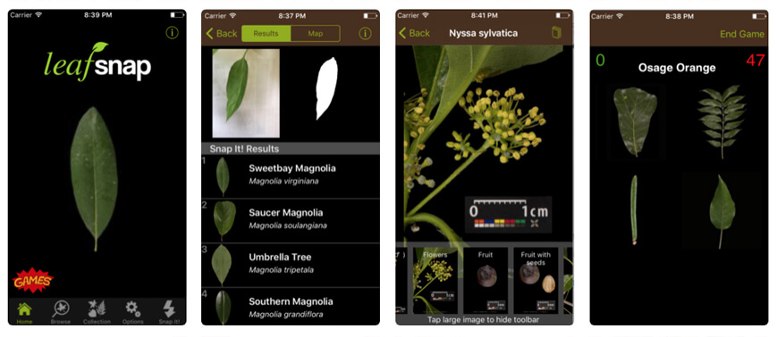 :img Picture of LeafSnap app, 100%